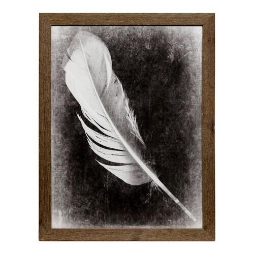 Inverted Feather I