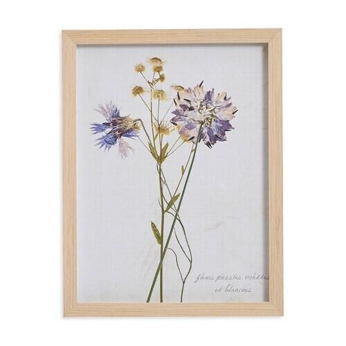Pressed Purple Flowers