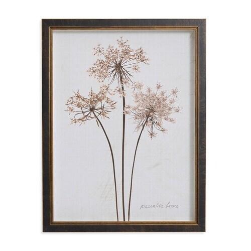Sepia Pressed Dandelions