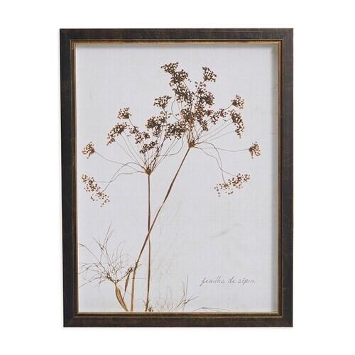 Sepia Queen Anne's Lace