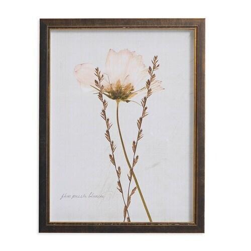 Sepia Pressed Wildflower II