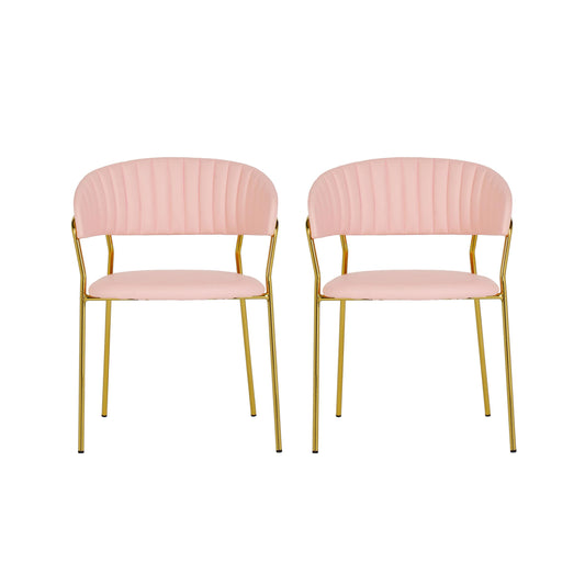 Padma Blush Vegan Leather Chair (Set of 2)