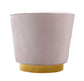 Noah Blush Velvet Swivel Chair