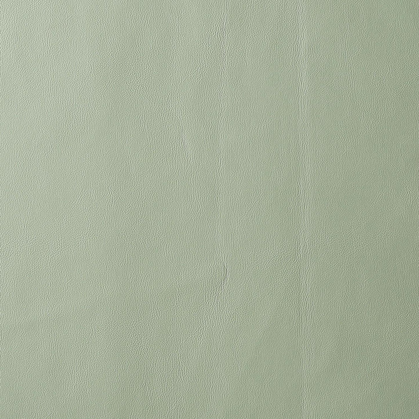 Reagan Sea Foam Green and Silver Adjustable Stool