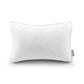 Beautyrest Absolute Relaxation Pillow Beautyrest Absolute Relaxation Pillow - Standard