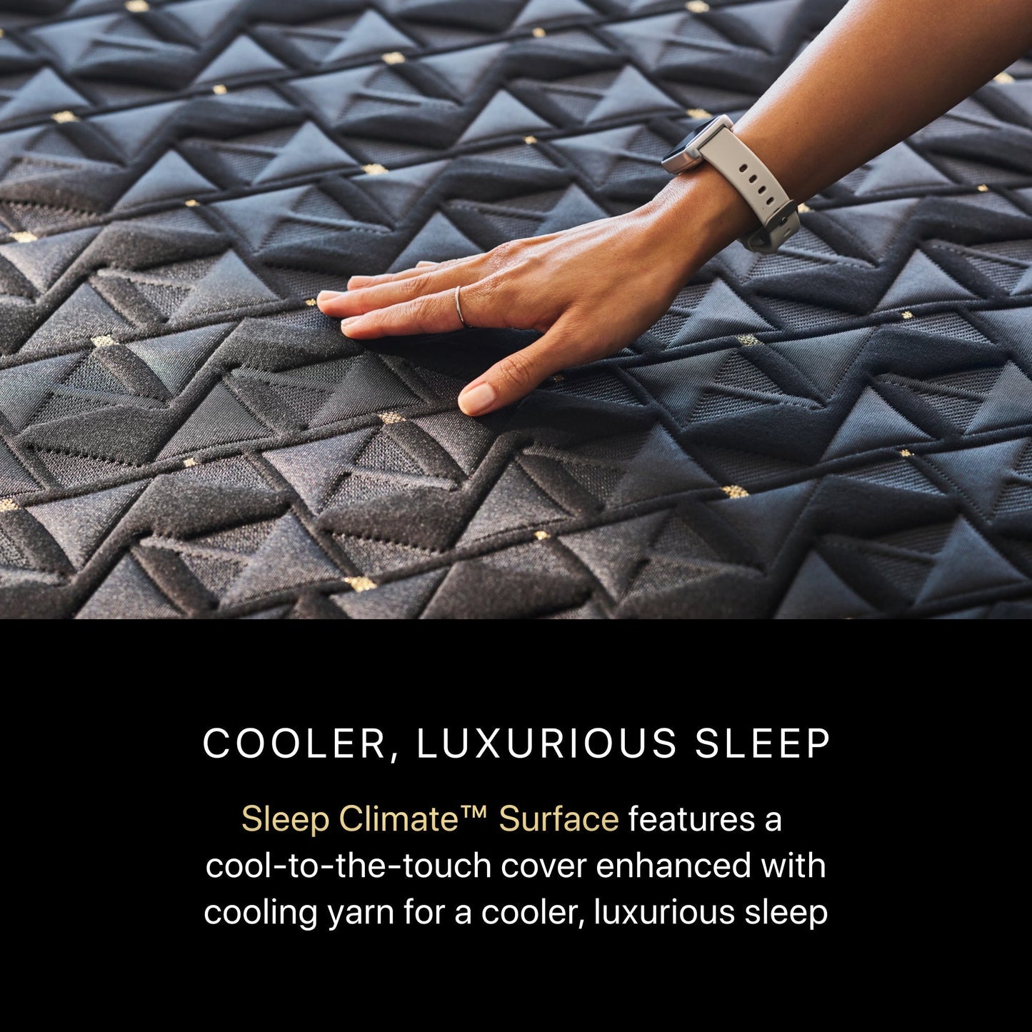 Beautyrest Black Hybrid Beautyrest Black Hybrid - Series Four Firm Apex Top / Twin XL