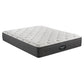 Beautyrest Silver BRS900 Plush Euro Top Beautyrest Silver BRS900 Plush Euro Top - Twin XL