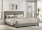 Dorian Fabric Upholstered Eastern King Panel Bed Taupe