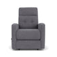 Charlotte Fabric Power Lift Recliner with Power Headrest & Lumbar
