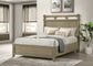 Hazlewood 61-inch Queen Panel Bed Vineyard Oak