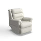 Astor Platinum Power Lift Recliner w/ Headrest & Lumbar