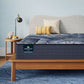 Serta Perfect Sleeper X Hybrid Mattress Full