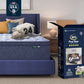Serta Five Star Mattress - 16" Plush Pillow Top Queen