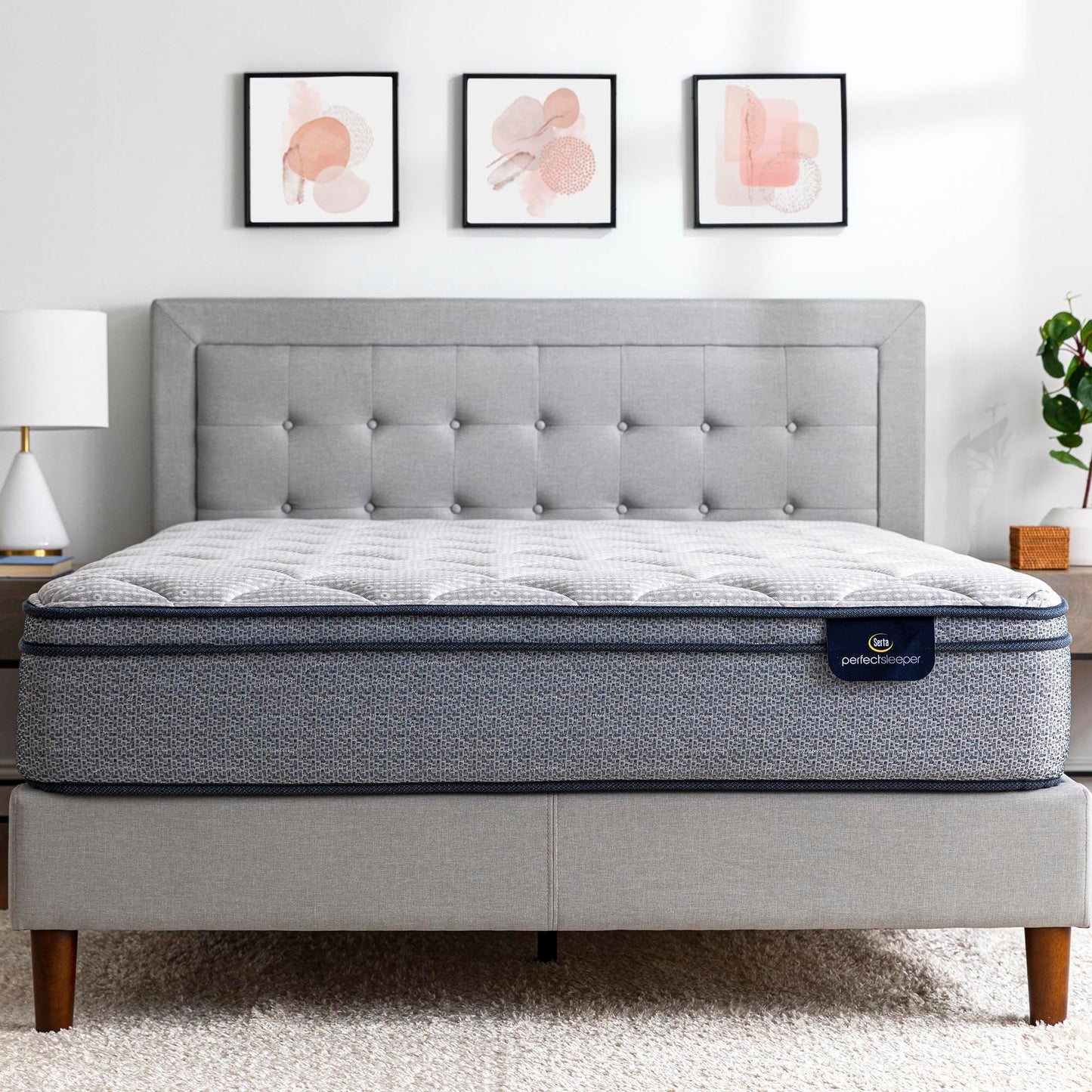 Perfect Sleeper Charlotte 10.5 inch Plush Euro Top Mattress Twin