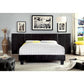 Winn Park-Twin Bed