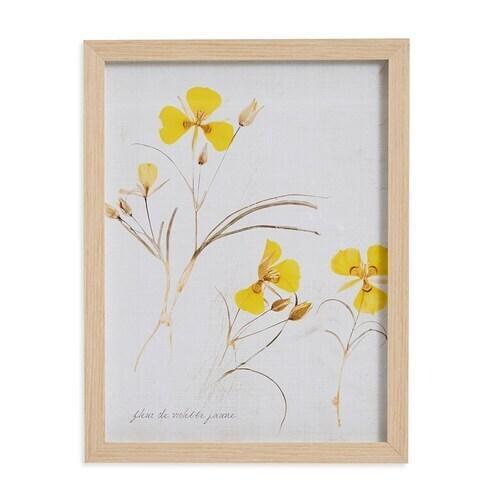 Pressed Yellow Violets