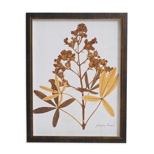 Sepia Holly Hock Buds