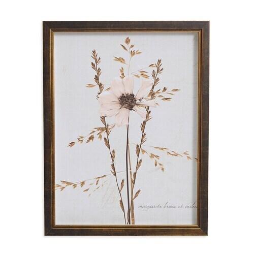 Sepia Pressed Wildflower I