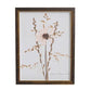 Sepia Pressed Wildflower I