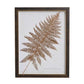 Sepia Fern Frond