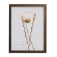 Sepia Pressed Wildflower II