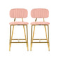 Ariana Blush Counter Stool (Set of 2)