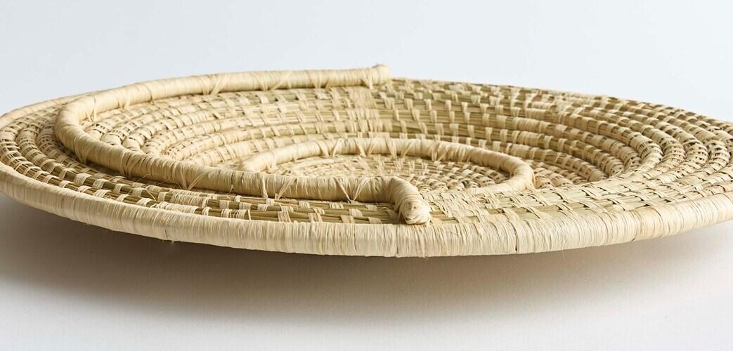 Sunshine 16in Wall Plate