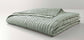 Hadon Twin Quilt Seaglass