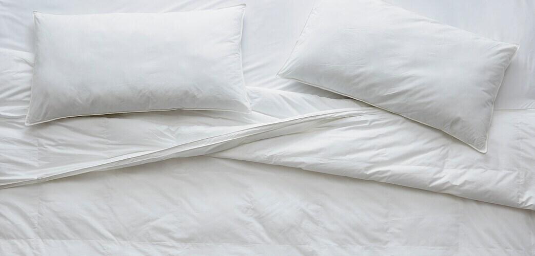 Down Alt Pillow Sham Insert EU