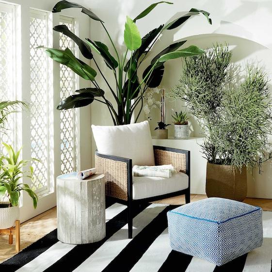 Leighton Accent Chair