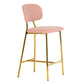 Ariana Blush Counter Stool (Set of 2)
