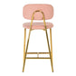 Ariana Blush Counter Stool (Set of 2)