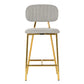 Ariana Grey Counter Stool (Set of 2)