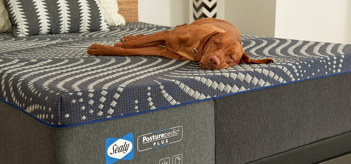 Sealy Posturepedic Plus Foam - Soft - Queen